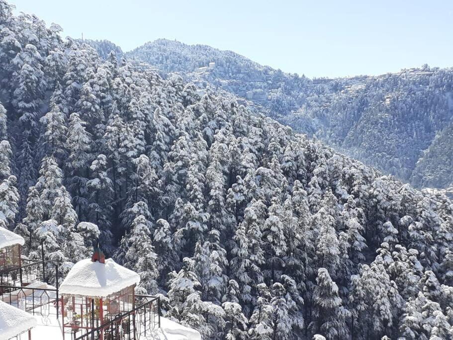 Residence Inn Homestay Σίμλα Εξωτερικό φωτογραφία